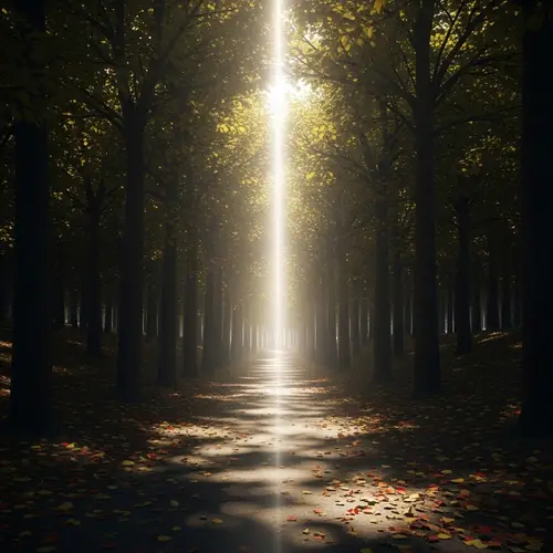 Scenic Forest Path: Beauty of Nature