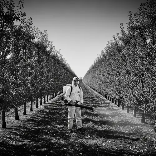 Stunning Black & White Orchard Photography