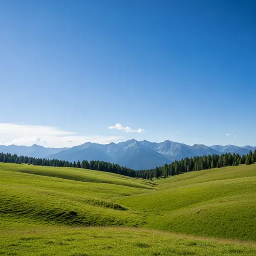 Scenic Landscape View with Mountains, Green Grass, and Pine Trees