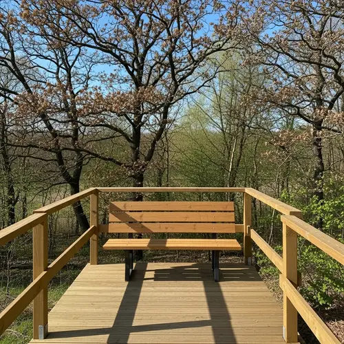 Tranquil Wooden Bench on Observation Platform by Lake in Forest