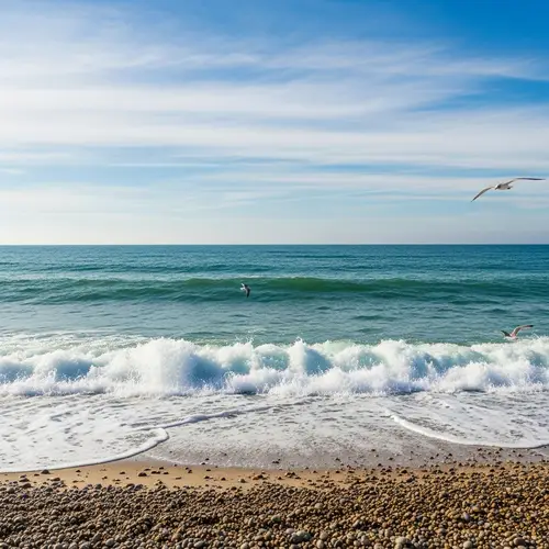 Serene Seaside Scene: Waves, Shells & Seagulls | Beach Bliss