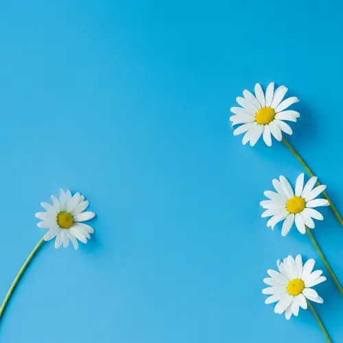 Captivating Shade of Blue Background