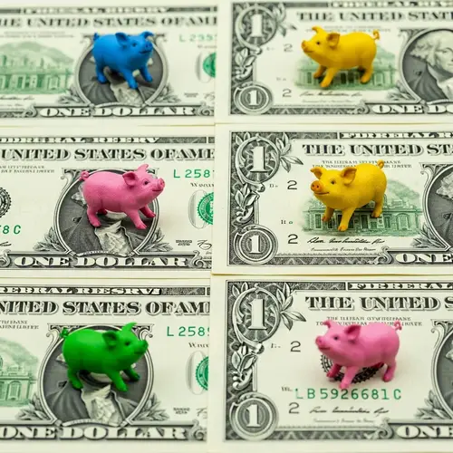 Unique Currency Notes with Colourful Mini Pigs Inside