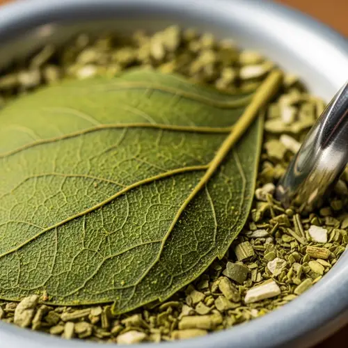 Yerba Mate Cup and Bombilla Close-Up: Nature-Inspired Photography