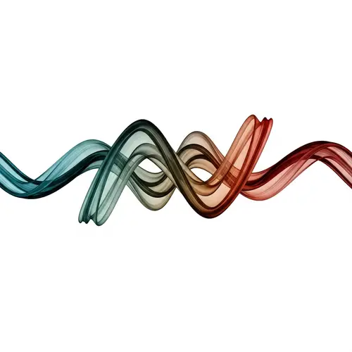 Dynamic Curves in Exercise Graphics: Fluidity & Flexibility