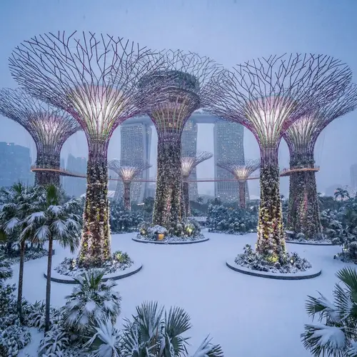 Gardens By the Bay Covered in Snow