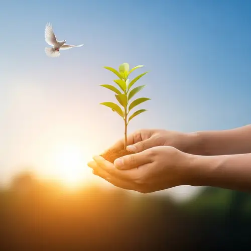 Spiritual Serenity in a Peaceful Garden | Stewardship Symbolized