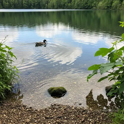 Agua: Tranquil Landscape with a Serene Lake