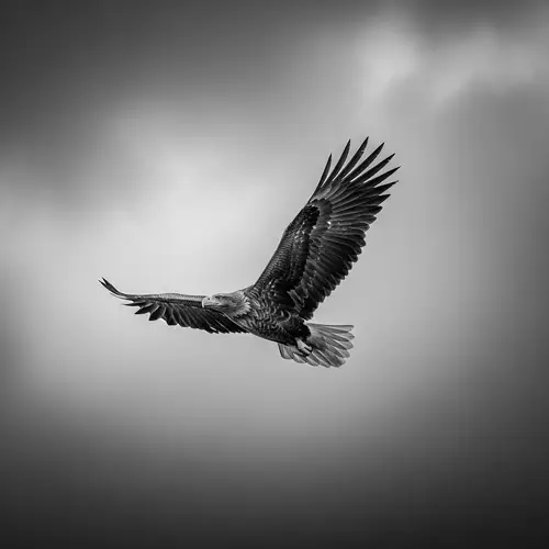 Majestic Eagle Soaring Through Stormy Sky | Nature-Inspired