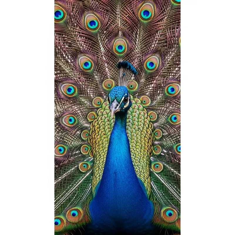 Mesmerizing Enchanted Garden Scene with Radiant Peacock Feathers Mesmerizing Enchanted Garden Scene with Radiant Peacock Feathers