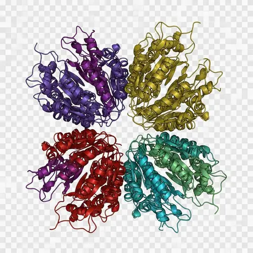 Detailed Parkin Protein Structure | Molecular Illustration