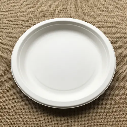 White Bagasse Plate - Eco-Friendly & Sustainable Design