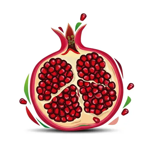 Abstract Pomegranate Art | Modern Geometric Composition