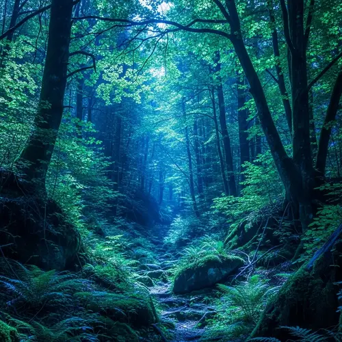 Authentic Blue Filtered Forest Image