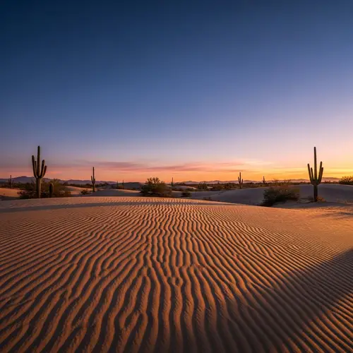 Minimalist Desert Landscape: Simple Elegance in Golden Sands