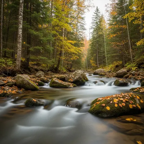 Cool and Pleasant Stream Flowing