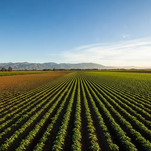 Agricultural Lands in South America - Stunning Panoramic View