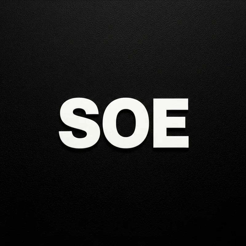 Mysterious 'SOE' on Black Canvas Mysterious 'SOE' on Black Canvas