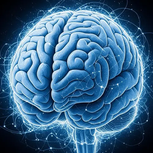 Human Neocortex Abstract Art | Brain Neural Connections