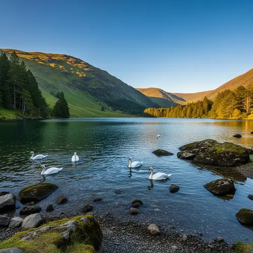 Breathtaking Lake in Serene Wilderness