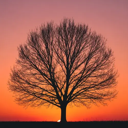 Sunset Silhouette: A Minimalist Masterpiece