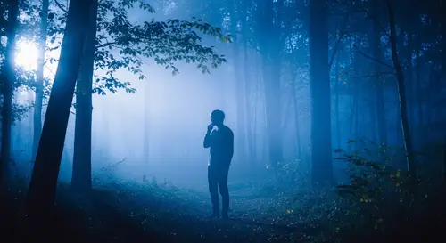 Enigmatic Figure in Misty Woodland - Dreamlike Photography