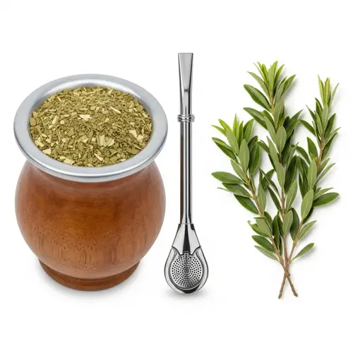 Traditional Yerba Mate Gourd and Bombilla - Health Benefits