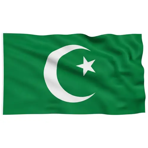 Islamic Flag with Crescent Moon and Star Emblem