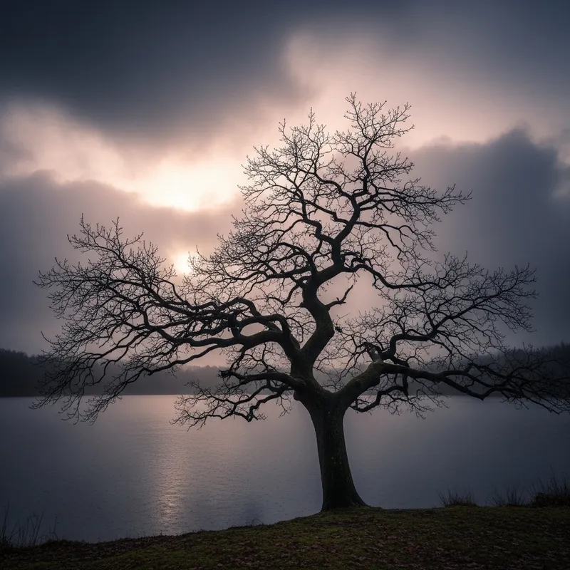 Triste Natural Scenes: Melancholic Tranquility