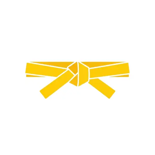 Yellow Belt in Judo - Beginner Level Icon