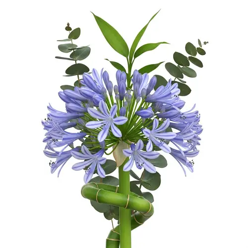Mesmerizing Botanical Composition with Bamboo, Agapanthus, and Eucalyptus Flowers