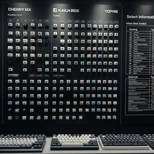 Ultimate Guide to Mechanical Keyboard Switches: Types, Brands, and Customization