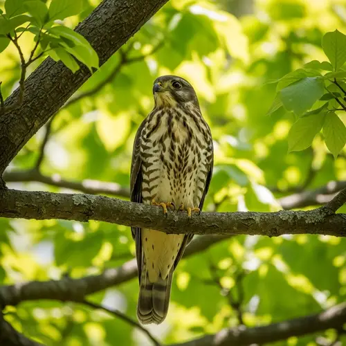 Exquisite Bird Perched on Tree Branch