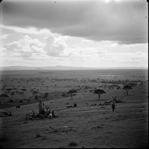 African Landscape Tranquility Amidst Colonial War Era