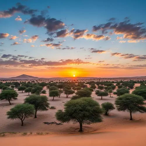 Desert Oasis: Lush Green Trees Against a Radiant Sky