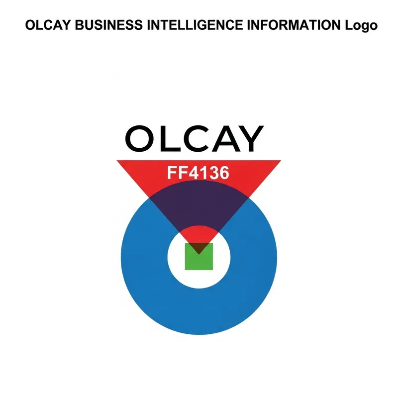 OLCAY BUSINESS INTELLIGENCE INFORMATION Logo Design