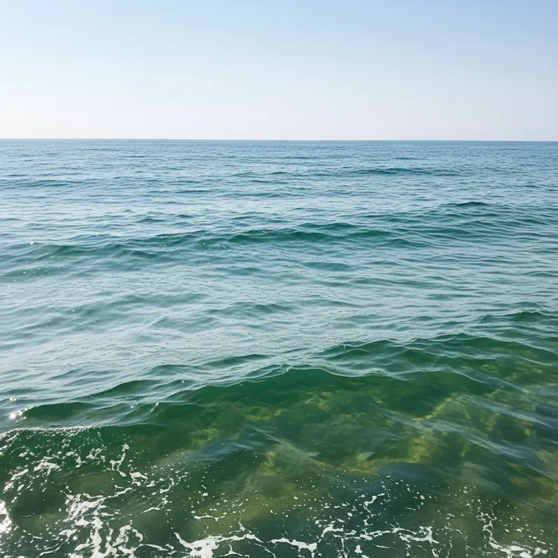 Serene Ocean Waves: A Tranquil Escape Serene Ocean Waves: A Tranquil Escape