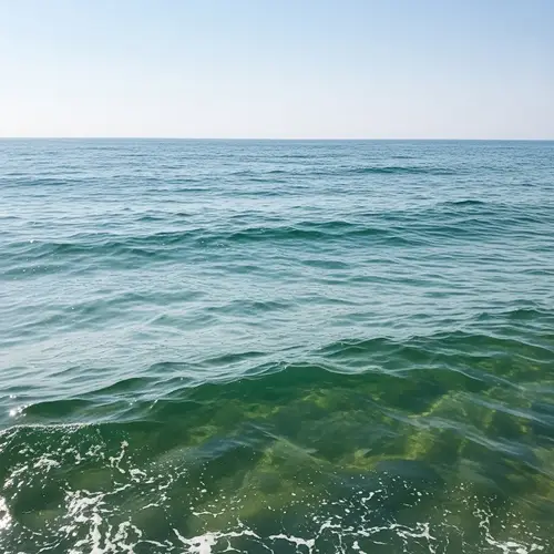 Serene Ocean Waves: A Tranquil Escape