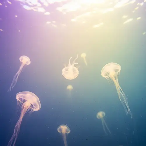 Graceful Movements of Floating Jellyfish in Ethereal Ambiance