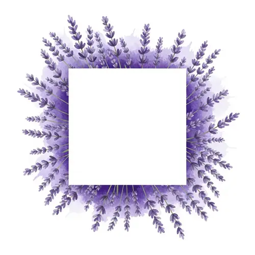 Watercolor Lavender Frame Art on White Background