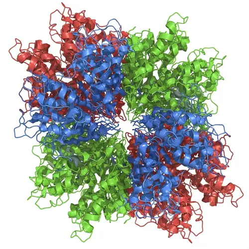 Detailed Superimposed Opioid Receptors Structure