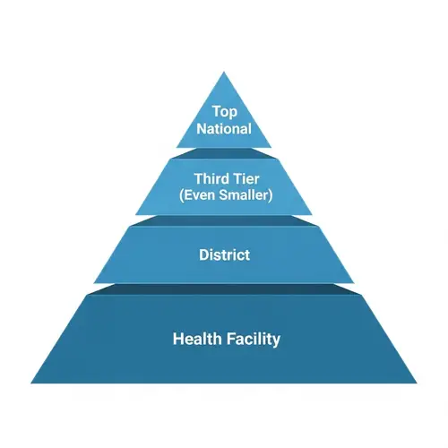 Medical Training Hierarchy Pyramid: National - Regional - District - Health Facility