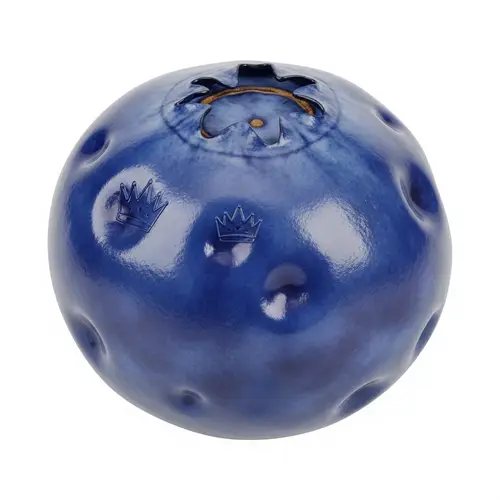 Indigo Blueberry-Like Gleaming Object | Website Name