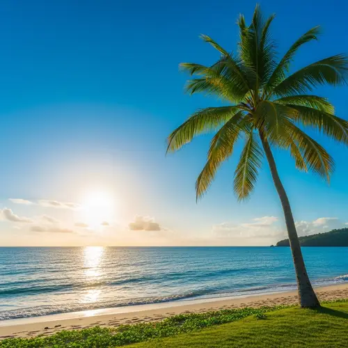 Tranquil Beach Scene with Palm Tree and Brilliant Sun