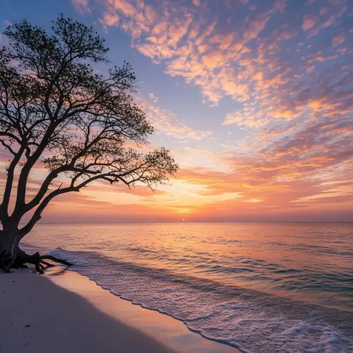 Tranquil Ocean Sunset with Silhouette Tree | Calm Evening Glow