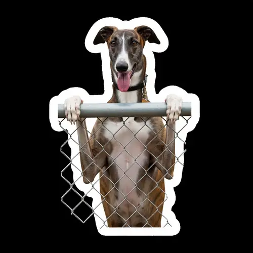 Adorable Tricolor Skinny Greyhound Sticker Dog | Online Store