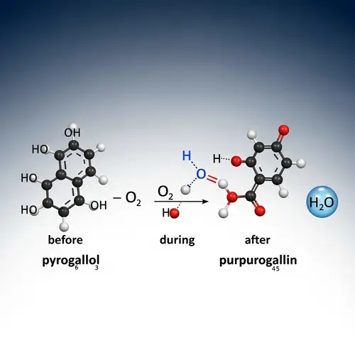 Chemical Reaction: C6H6O3 with O2 Explained