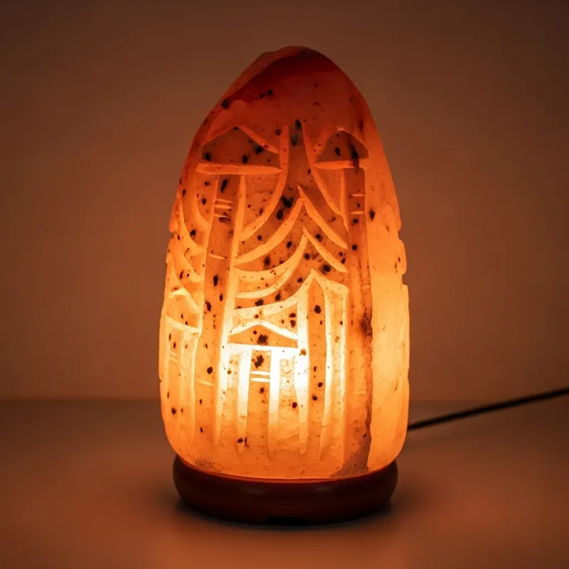 Himalayan Salt Lamp - Natural Pink Glow for Wellness