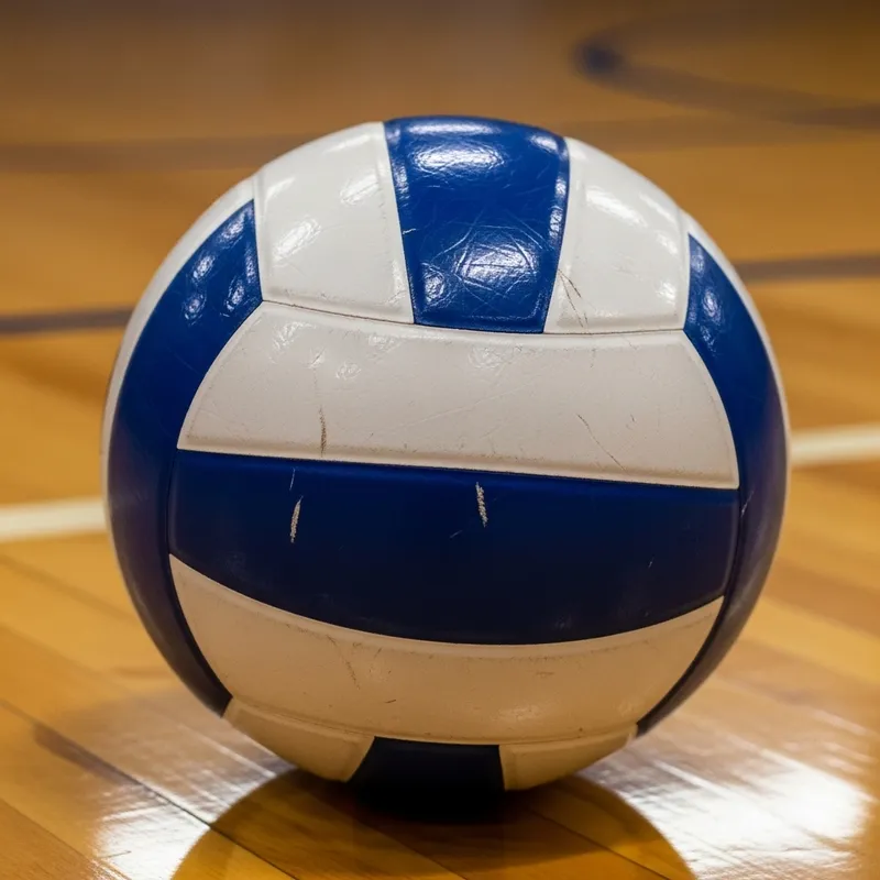 Classic Volleyball with Panel Design