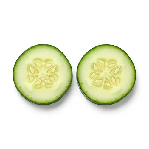 Fresh Round Cucumber Slices | Top View on White Background